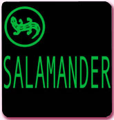  Salamander 