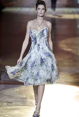 Roberto Cavalli   2008 2009