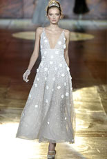 Roberto Cavalli   2008 2009
