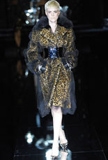 Dolce Gabbana