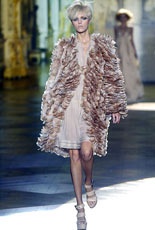 Roberto Cavalli  2008