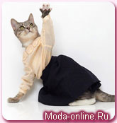 Кошки-модели в рекламе весенней коллекции United Bamboo